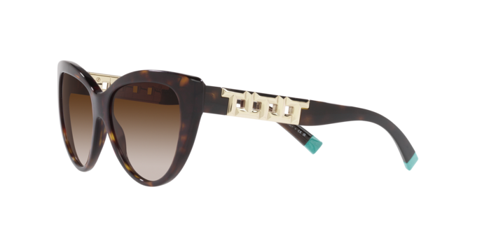 Tiffany Sunglasses TF4196 80153B