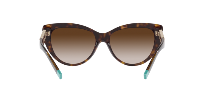 Tiffany Sunglasses TF4196 80153B