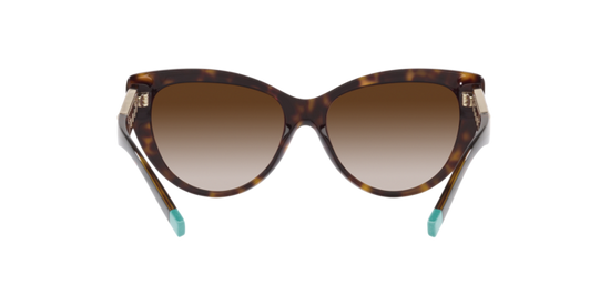 Tiffany Sunglasses TF4196 80153B