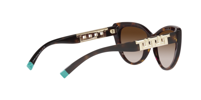 Tiffany Sunglasses TF4196 80153B