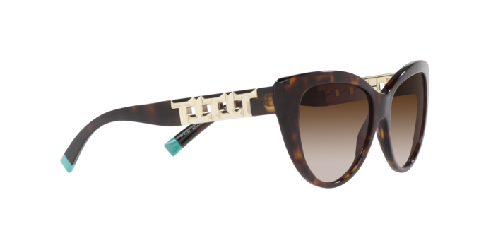 Tiffany Sunglasses TF4196 80153B