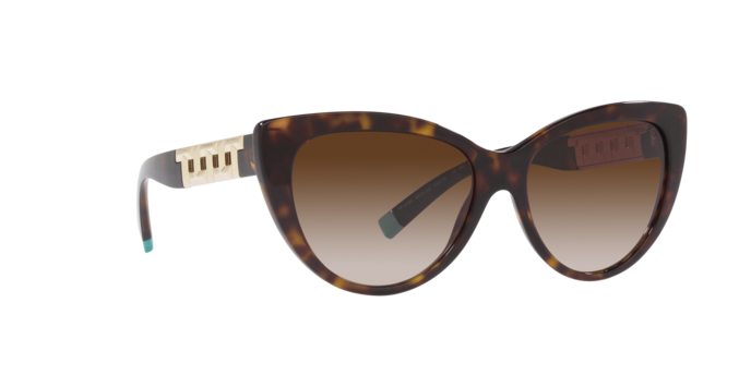 Tiffany Sunglasses TF4196 80153B