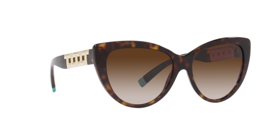 Tiffany Sunglasses TF4196 80153B