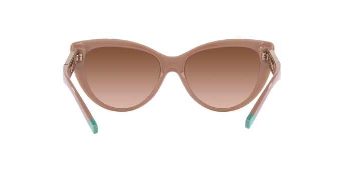 Tiffany Sunglasses TF4196 83523B