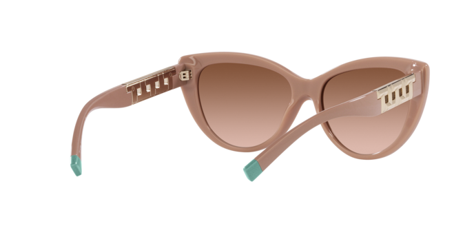 Tiffany Sunglasses TF4196 83523B