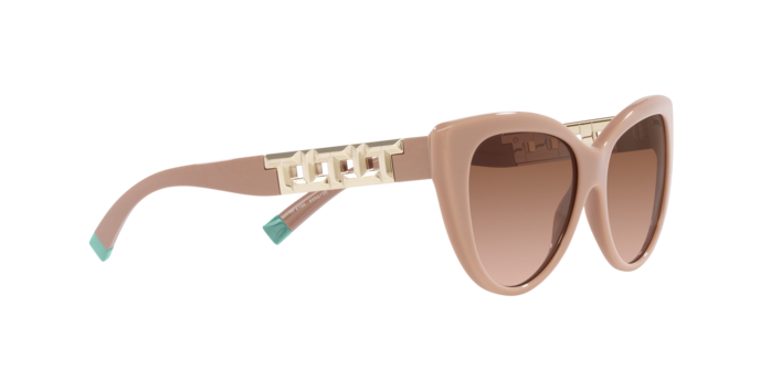 Tiffany Sunglasses TF4196 83523B