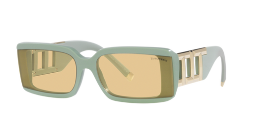 Tiffany Sunglasses TF4197 8365/8