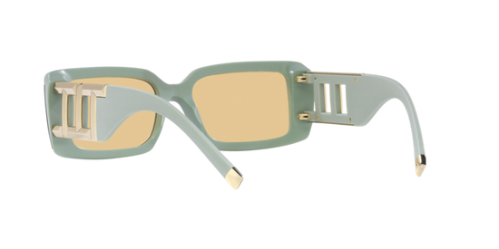 Tiffany Sunglasses TF4197 8365/8