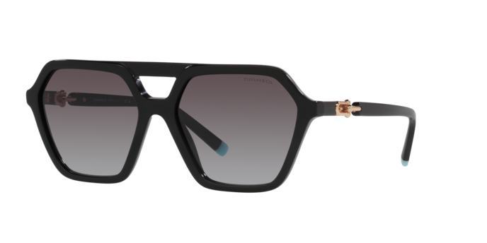 Tiffany Sunglasses TF4198 80013C