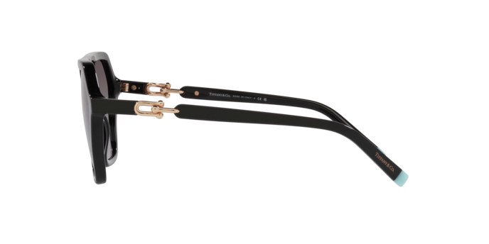 Tiffany Sunglasses TF4198 80013C