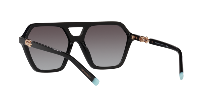 Tiffany Sunglasses TF4198 80013C