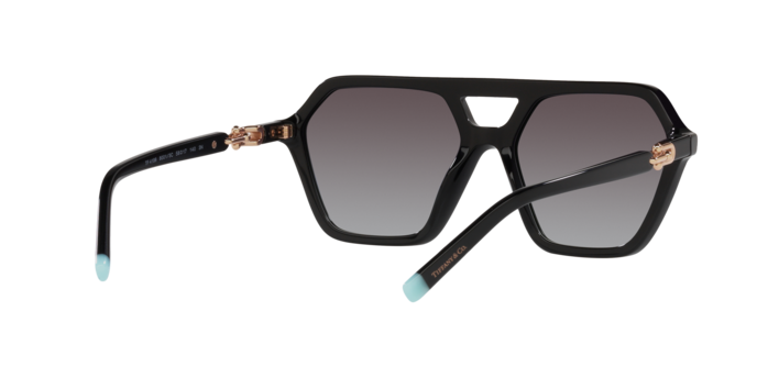 Tiffany Sunglasses TF4198 80013C