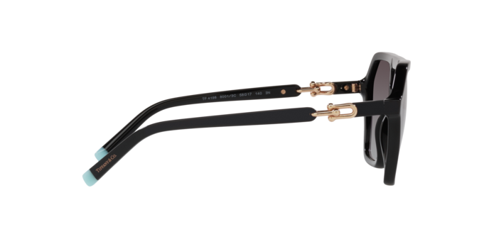 Tiffany Sunglasses TF4198 80013C