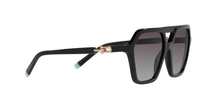 Tiffany Sunglasses TF4198 80013C