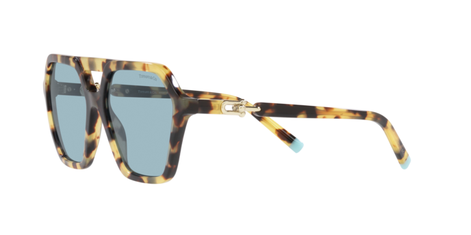 Tiffany Sunglasses TF4198 806480