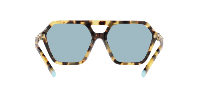 Tiffany Sunglasses TF4198 806480