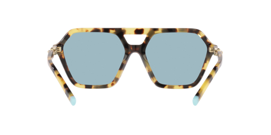 Tiffany Sunglasses TF4198 806480