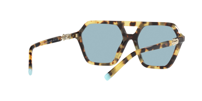 Tiffany Sunglasses TF4198 806480