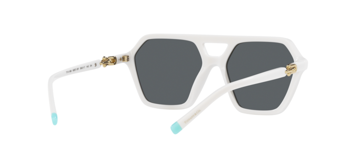 Tiffany Sunglasses TF4198 83573F