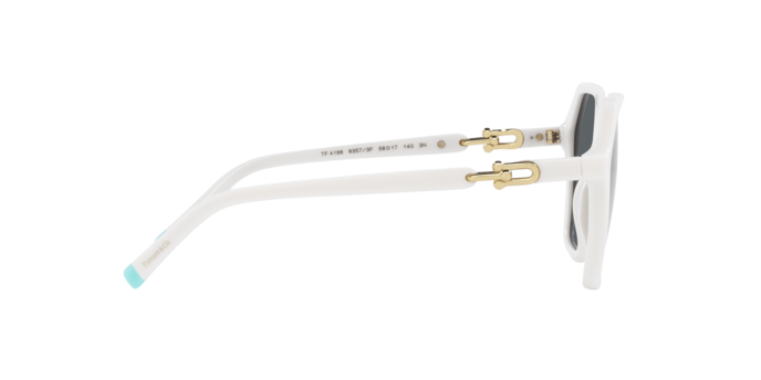 Tiffany Sunglasses TF4198 83573F