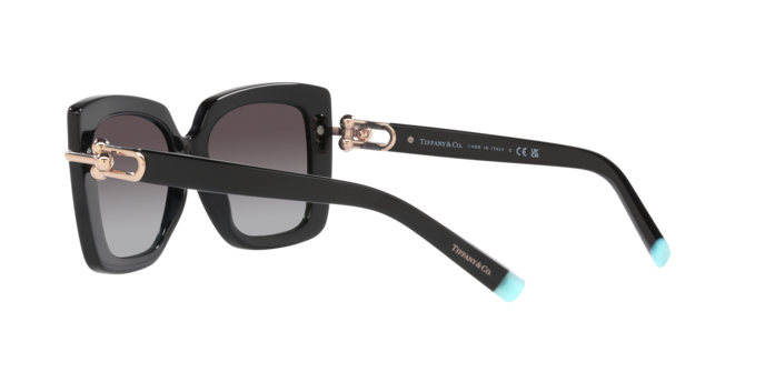 Tiffany Sunglasses TF4199 80013C