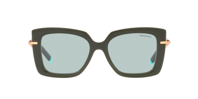 Tiffany Sunglasses TF4199 835672
