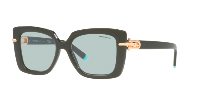Tiffany Sunglasses TF4199 835672