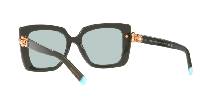 Tiffany Sunglasses TF4199 835672