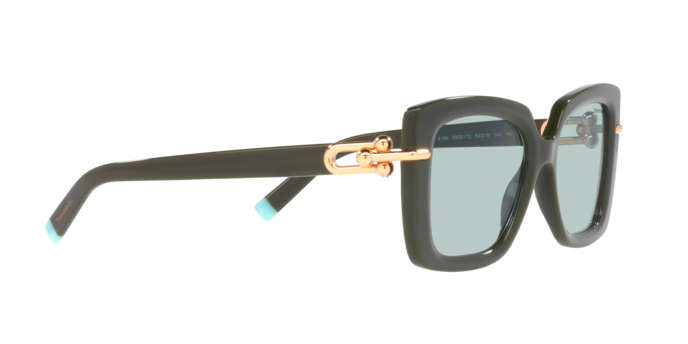 Tiffany Sunglasses TF4199 835672