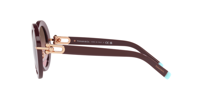 Tiffany Sunglasses TF4201 83549T