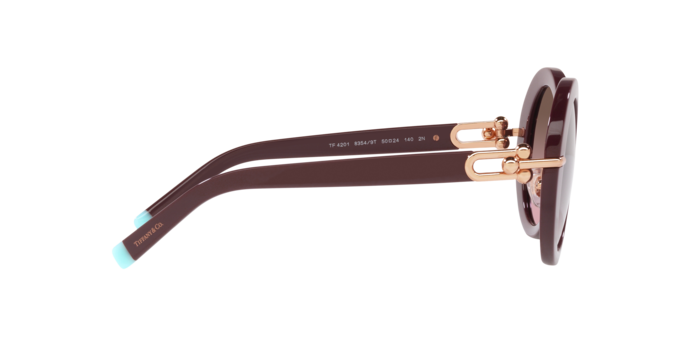 Tiffany Sunglasses TF4201 83549T