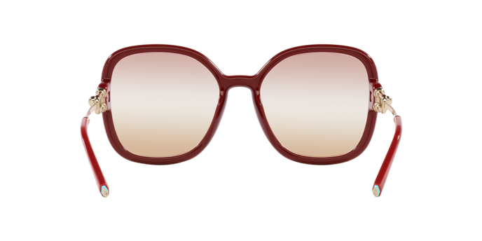 Tiffany Sunglasses TF4202U 8380EL