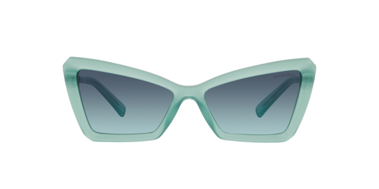 Tiffany Sunglasses TF4203 83739S