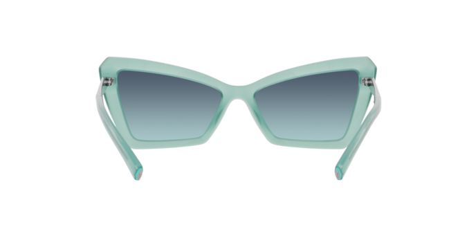 Tiffany Sunglasses TF4203 83739S