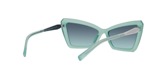 Tiffany Sunglasses TF4203 83739S