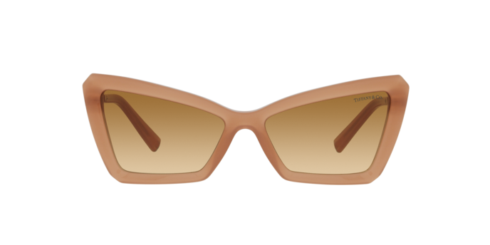 Tiffany Sunglasses TF4203 83743B