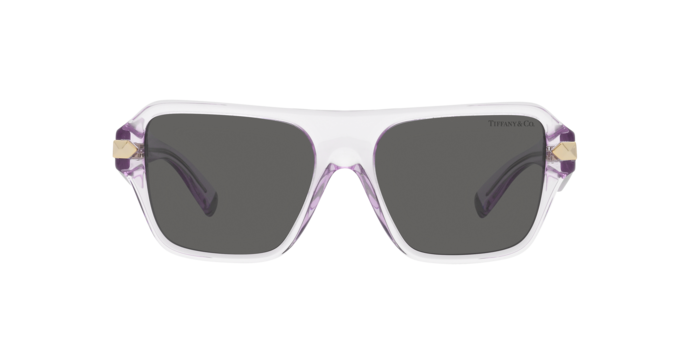 Tiffany Sunglasses TF4204 8376S4