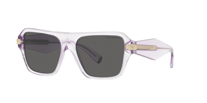 Tiffany Sunglasses TF4204 8376S4