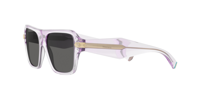 Tiffany Sunglasses TF4204 8376S4