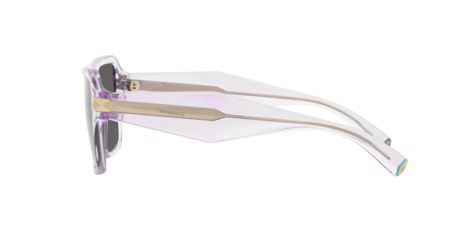 Tiffany Sunglasses TF4204 8376S4