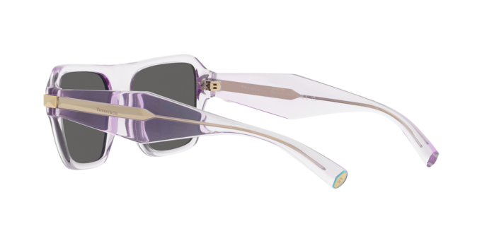 Tiffany Sunglasses TF4204 8376S4