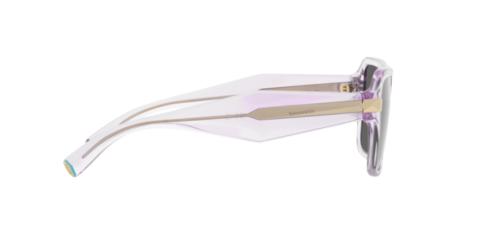 Tiffany Sunglasses TF4204 8376S4