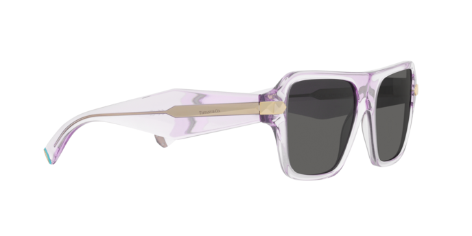 Tiffany Sunglasses TF4204 8376S4