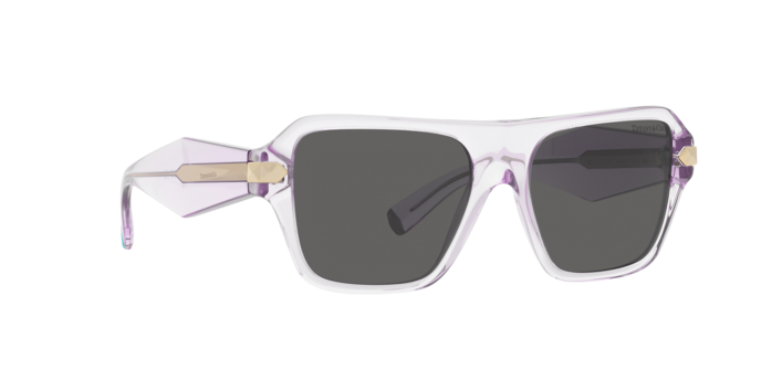 Tiffany Sunglasses TF4204 8376S4