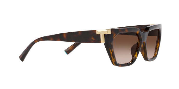 Tiffany Sunglasses TF4205U 80153B