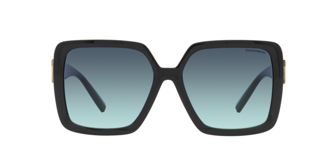 Tiffany Sunglasses TF4206U 80019S