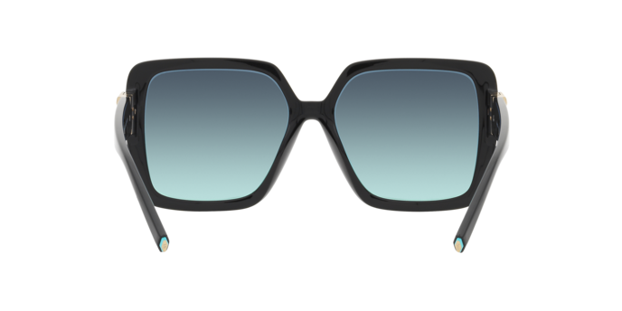 Tiffany Sunglasses TF4206U 80019S