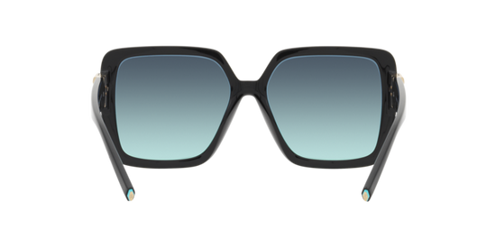 Tiffany Sunglasses TF4206U 80019S