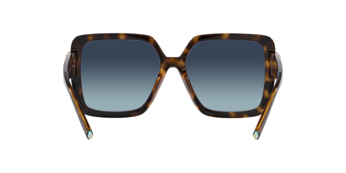 Tiffany Sunglasses TF4206U 80154U