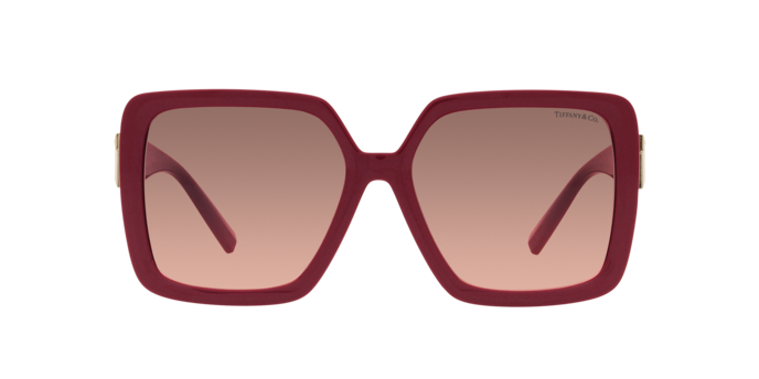 Tiffany Sunglasses TF4206U 836613
